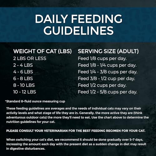 Fussie Cat Market Fresh Salmon Recipe Grain-Free Dry Cat Food, 10 lbs.