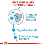 Royal Canin Small Puppy Dry Dog Food - 4lb