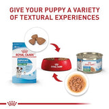 Royal Canin Small Puppy Dry Dog Food - 4lb