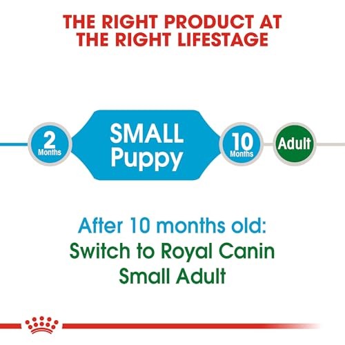 Royal Canin Small Puppy Dry Dog Food - 4lb