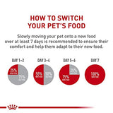 Royal Canin Small Puppy Dry Dog Food - 4lb