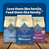 Blue Buffalo Adult Salmon & Brown Rice Dry Dog Food, 5 lbs.