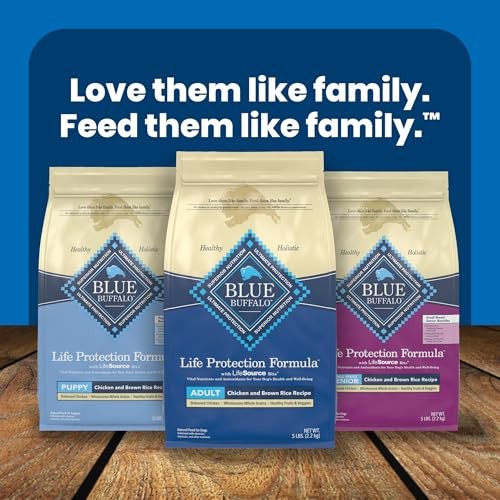 Blue Buffalo Adult Salmon & Brown Rice Dry Dog Food, 5 lbs.