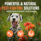 TropiClean Flea & Tick Laundry Additive, 32 oz.