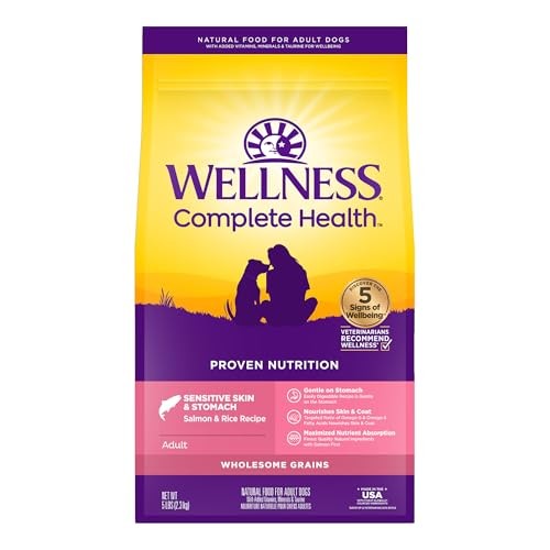 Wellness Complete Health Sensitive Skin & Stomach Salmon & Rice Adult Dry Dog Food, 5 lbs.