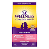 Wellness Complete Health Sensitive Skin & Stomach Salmon & Rice Adult Dry Dog Food, 5 lbs.