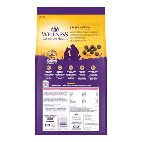 Wellness Complete Health Sensitive Skin & Stomach Salmon & Rice Adult Dry Dog Food, 5 lbs.