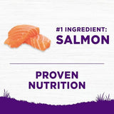 Wellness Complete Health Sensitive Skin & Stomach Salmon & Rice Adult Dry Dog Food, 5 lbs.