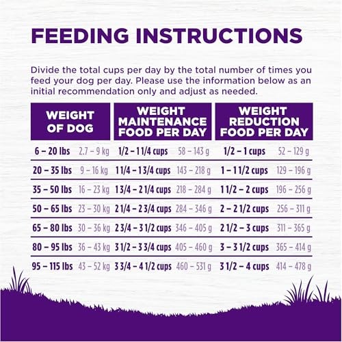 Wellness Complete Health Sensitive Skin & Stomach Salmon & Rice Adult Dry Dog Food, 5 lbs.