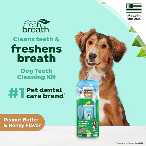 TropiClean Fresh Breath Enticers Peanut Butter & Honey Oral Care Kit for Dogs, 2 oz.