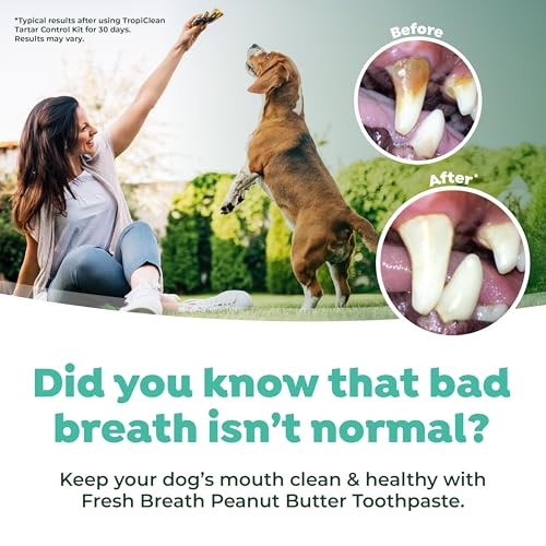 TropiClean Fresh Breath Enticers Peanut Butter & Honey Oral Care Kit for Dogs, 2 oz.