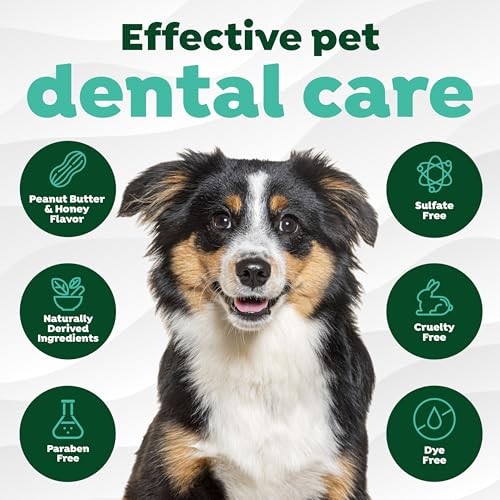 TropiClean Fresh Breath Enticers Peanut Butter & Honey Oral Care Kit for Dogs, 2 oz.