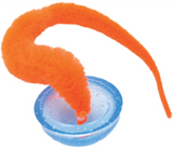 Bergan Whirly Pop Cat Toy with Catnip