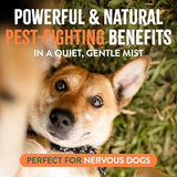 TropiClean Flea & Tick Spray for Pets, 14 oz.