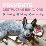 TropiClean Chew Stop Anti-Chew Puppy Spray, 8 oz.