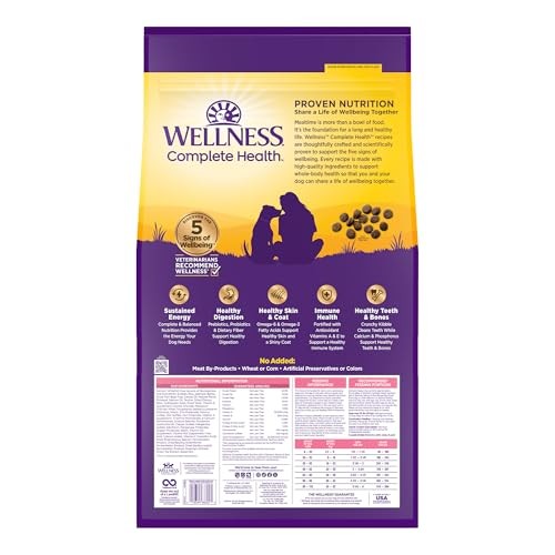 Wellness Complete Health Sensitive Skin & Stomach Salmon & Rice Adult Dry Dog Food, 24 lbs.