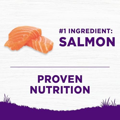 Wellness Complete Health Sensitive Skin & Stomach Salmon & Rice Adult Dry Dog Food, 24 lbs.