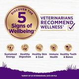 Wellness Complete Health Sensitive Skin & Stomach Salmon & Rice Adult Dry Dog Food, 24 lbs.