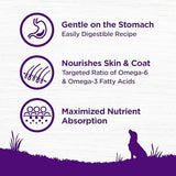 Wellness Complete Health Sensitive Skin & Stomach Salmon & Rice Adult Dry Dog Food, 24 lbs.