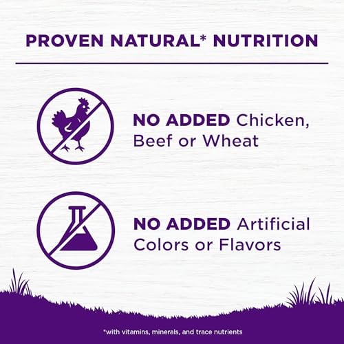 Wellness Complete Health Sensitive Skin & Stomach Salmon & Rice Adult Dry Dog Food, 24 lbs.