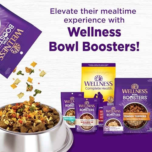 Wellness Complete Health Sensitive Skin & Stomach Salmon & Rice Adult Dry Dog Food, 24 lbs.