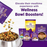 Wellness Complete Health Sensitive Skin & Stomach Salmon & Rice Adult Dry Dog Food, 24 lbs.