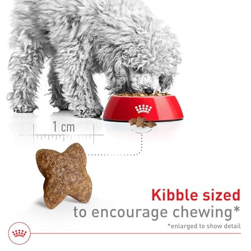 Royal Canin Size Health Nutrition Small Breed Adult Dry Dog Food, 4 lbs Bag