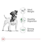 Royal Canin Size Health Nutrition Small Breed Adult Dry Dog Food, 4 lbs Bag