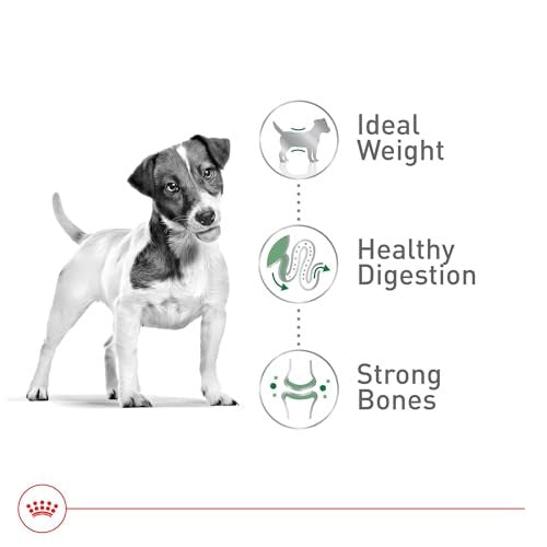 Royal Canin Size Health Nutrition Small Breed Adult Dry Dog Food, 4 lbs Bag