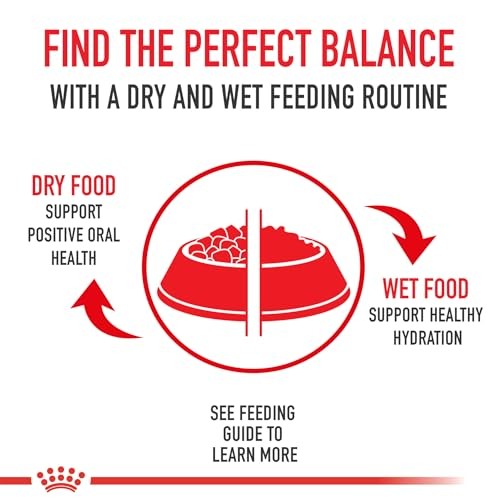 Royal Canin Size Health Nutrition Small Breed Adult Dry Dog Food, 4 lbs Bag