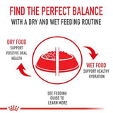 Royal Canin Size Health Nutrition Small Breed Adult Dry Dog Food, 4 lbs Bag