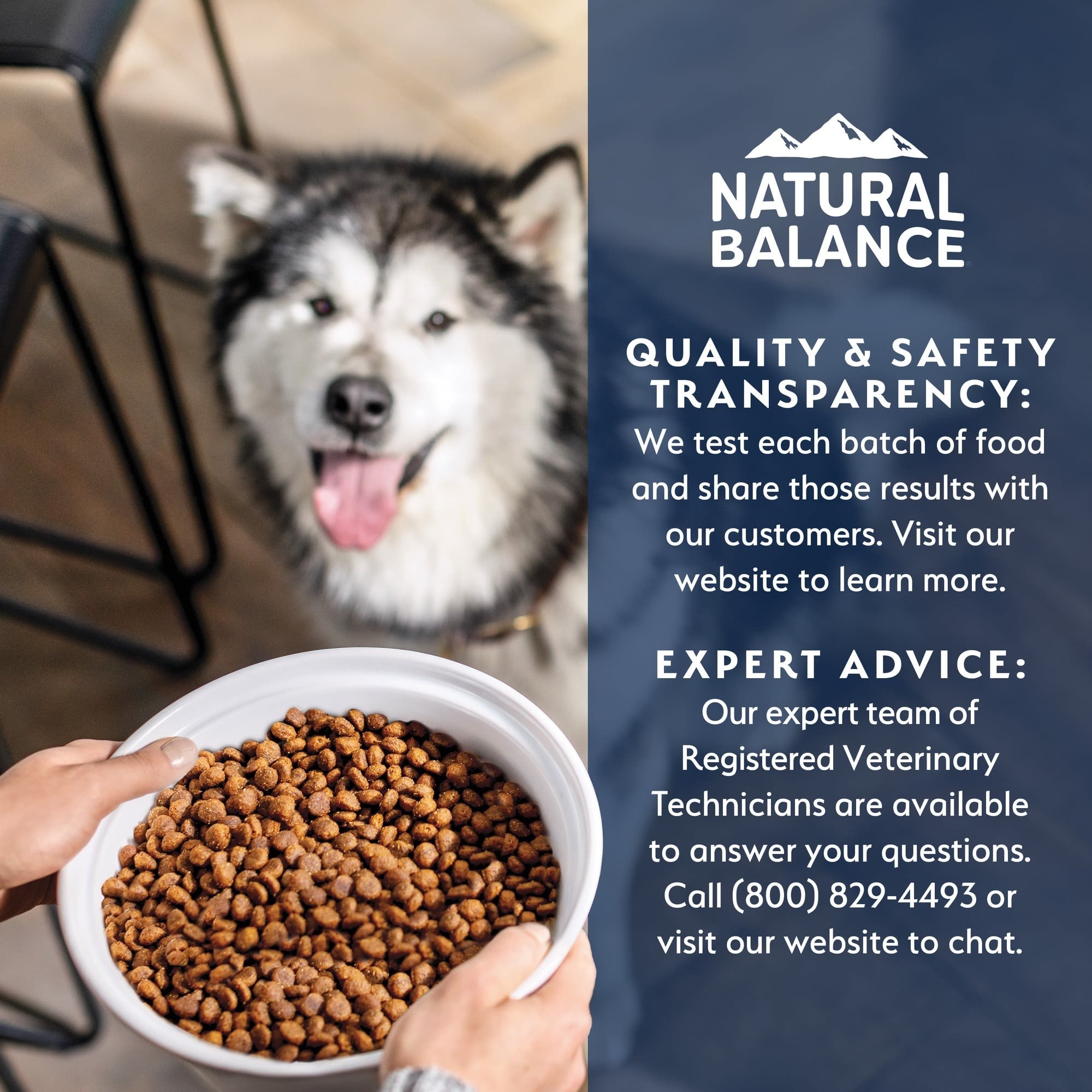 Natural Balance Whole Body Health Easy Digestion Puppy Food 12lb