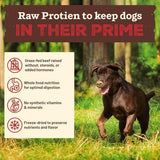 Primal Beef Formula Freeze-Dried Raw Dog Food, 1.5 lbs.