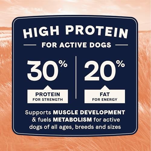 Canidae All Life Stages Salmon & Ancient Grains Dry Dog Food 4lb