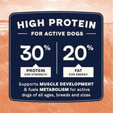 Canidae All Life Stages Salmon & Ancient Grains Dry Dog Food 4lb