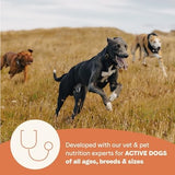 Canidae All Life Stages Salmon & Ancient Grains Dry Dog Food 4lb