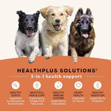 Canidae All Life Stages Salmon & Ancient Grains Dry Dog Food 4lb
