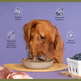 Badlands Ranch Complete Air Dried Superfood Bison & Beef Dog 24 oz