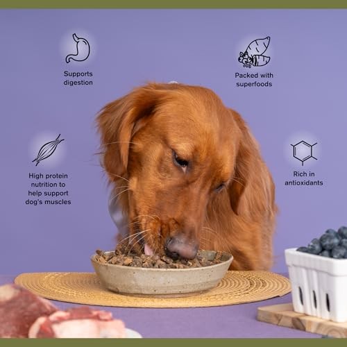 Badlands Ranch Complete Air Dried Superfood Bison & Beef Dog 64 oz Bag