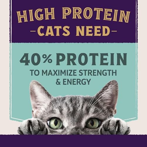 Natural Balance Ultra Protein Immune & Digestive Health Chicken & Chicken Meal Dry Cat Food, 2.5 lbs.
