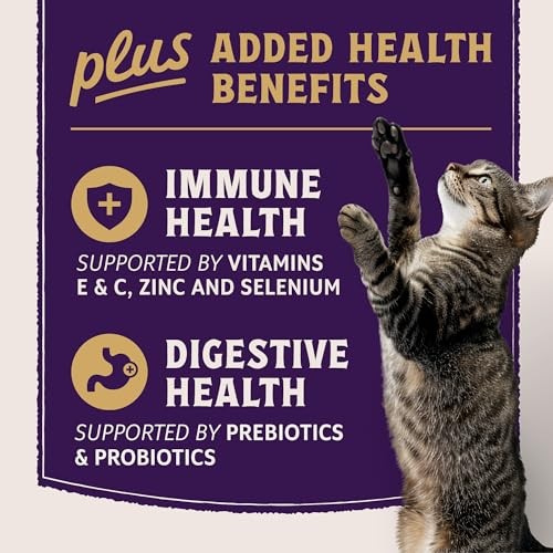 Natural Balance Ultra Protein Immune & Digestive Health Chicken & Chicken Meal Dry Cat Food, 2.5 lbs.