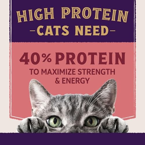Natural Balance Ultra Protein Skin, Coat & Digestive Health Salmon & Chicken Meal Dry Cat Food, 5 lbs.