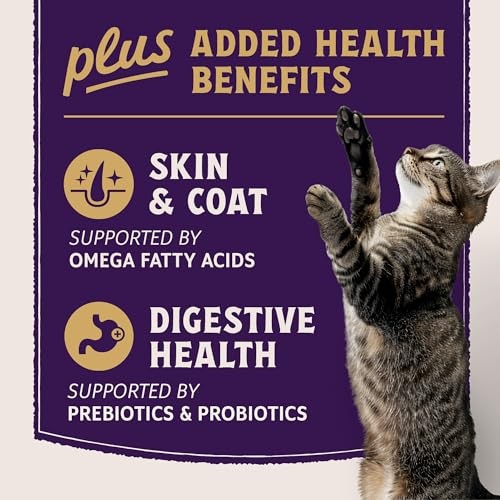 Natural Balance Ultra Protein Skin, Coat & Digestive Health Salmon & Chicken Meal Dry Cat Food, 5 lbs.
