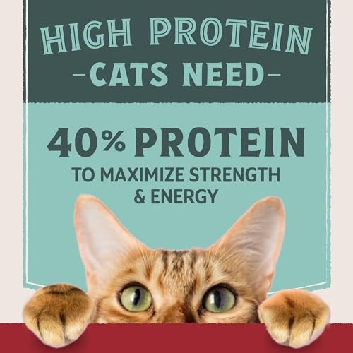 Natural Balance Ultra Protein Chicken & Chicken Meal Dry Cat Food, 3 lbs.