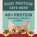 Natural Balance Ultra Protein Chicken & Chicken Meal Dry Cat Food, 3 lbs.