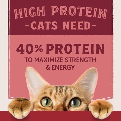 Natural Balance Ultra Protein Salmon & Chicken Meal Dry Cat Food, 3 lbs.