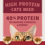 Natural Balance Ultra Protein Salmon & Chicken Meal Dry Cat Food, 6 lbs.