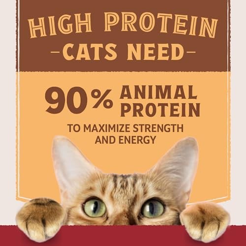Natural Balance Ultra Protein Duck Recipe with Organs Pate Wet Cat Food, 2.8 oz.