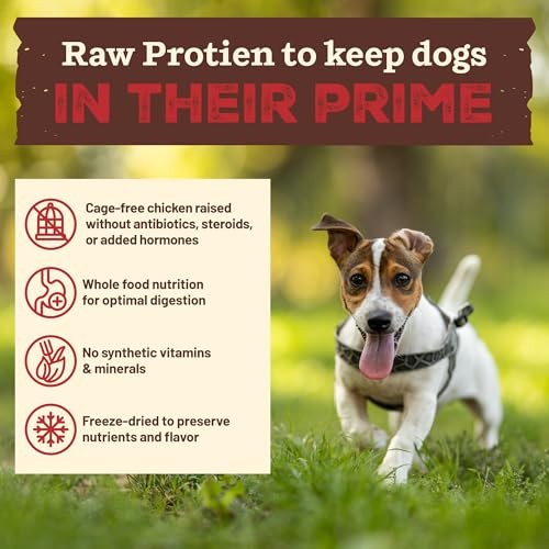 Primal Kibble in the Raw Small Breed Chicken Recipe Freeze-Dried Dog Food, 1.5 lbs.