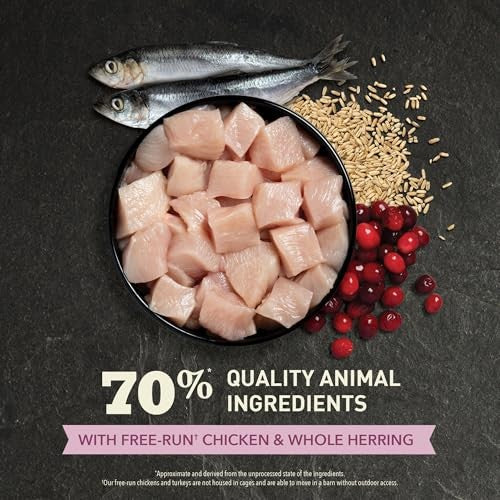 Acana First Feast Dry Cat Food, 7 lbs Pack